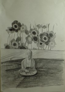 SAMSUNG CAMERA PICTURES