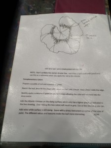 SAMSUNG CAMERA PICTURES