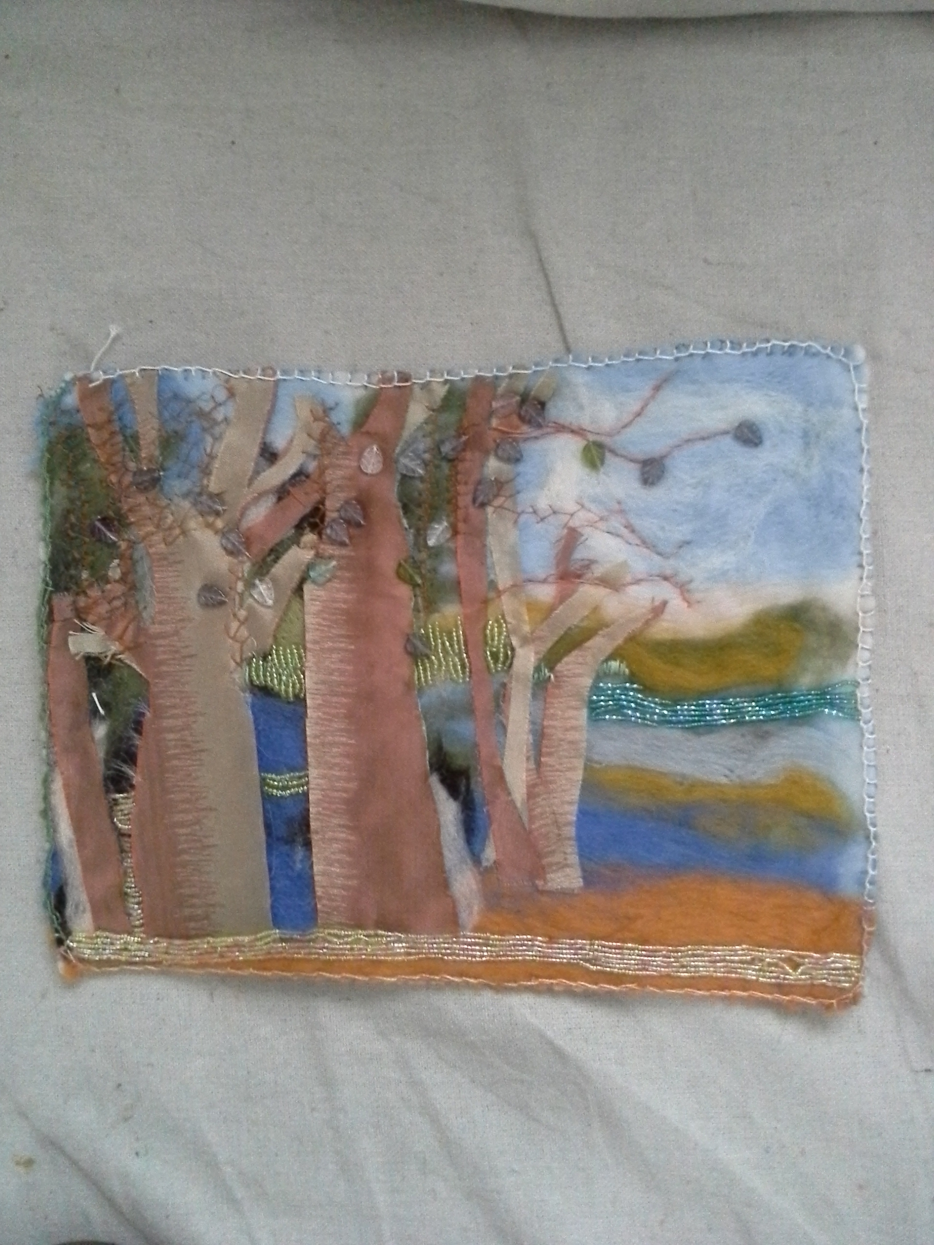 IMG_20151112_161218[1]